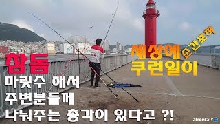 참돔 마릿수해서 주변분들께 나눠주는 총각이 있다고?! 순간 포착 세상에 쿠런일이   #원투낚시  fishing