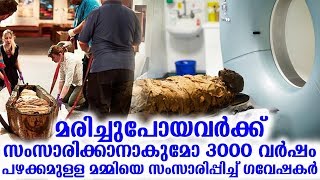 മരിച്ചുപോയവര്‍ക്ക് സംസാരിക്കാനാകുമോ 3000 വര്‍ഷം പഴക്കമുള്ള മമ്മിയെ സംസാരിപ്പിച്ച് ഗവേഷകര്‍