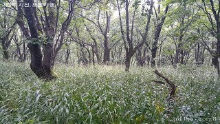 백두대간 조침령-진동호구간(인제천리길 11-2코스)