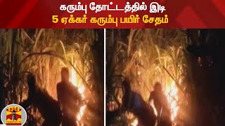 கரும்பு தோட்டத்தில் இடி - 5 ஏக்கர் கரும்பு பயிர் சேதம் | Viluppuram