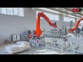 osr robotİcs palletizing automation system palletleme sistemler 50kg 25kg