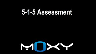 515 Assessment