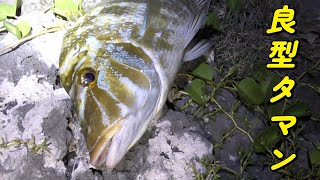 磯からの打ち込みで巨大魚が釣れた！【与論 打ち込み】