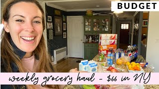 Weekly Grocery Shopping Haul On A Budget - $66 In NY