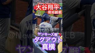 【現地観戦】大谷翔平ヤンキース戦！ダグアウト真横！2ベースヒットとジャッジの肩に勝つホームイン！