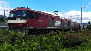 【2020/07/02･東北本線を走る貨物列車･EH500-1牽引】4088ﾚ(仙台タ→大阪タ)