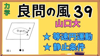 【高校物理】『良問の風』解説39〈力学〉円運動