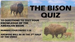 The American Bison Quiz