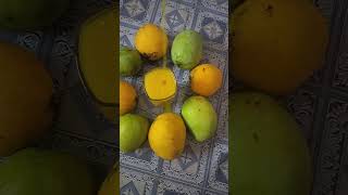 # ഈ ചൂടുകാലത്ത്  Mango ജ്യൂസ്‌ 😋😋