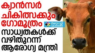 COW URINEഗുരുതര രോഗങ്ങൾക്കടക്കം ചികിത്സക്കായി ഗോമൂത്രം