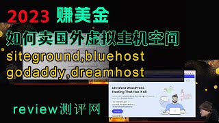 如何卖国外虚拟主机空间赚美金？siteground，bluehost，godaddy,dreamHost,tmdhosting等等，包装盈利项目，送网站程序，测评！