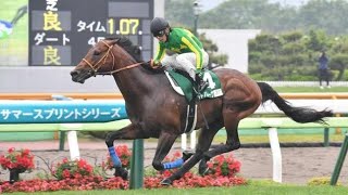 【重賞】JRA70周年記念第31回函館スプリントS実況[優勝馬　サトノレーヴ　浜中俊騎手]