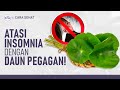 Daun Pegagan untuk Menyehatkan Otak Hingga Atasi Insomnia, Begini Cara Buatnya! | Hidup Sehat tvOne