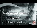 instrument timor