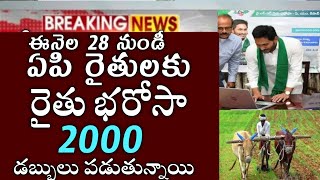 ఏపి రైతులకు రైతుభరోసా 2000 ఈతేదీ నుండి డబ్బులు జమ అవుతుంది|rythubharosa payment status|rythubharosa