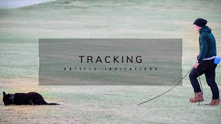 Tracking - starting Article Indications