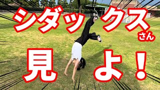 【体操対決】シダックスさんと勝負！？と思ったらずっこけた！