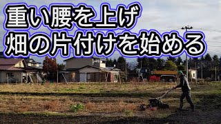 【畑の冬仕舞い】重い腰を上げ、やっと畑の片付けを始めました。共立  ウィングモア 畦草刈機 刈り払い機 シングウ 新宮