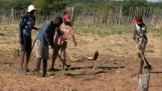 Some subsistence farmers in Kavango East Region hope to start preparing their crop fields- nbc