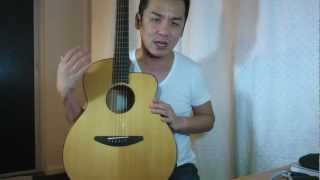 Baden A Style Kanzo New 2012 Model Guitar Review in Singapore