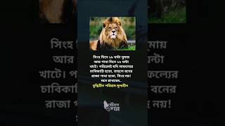 বুদ্ধিহীন পরিশ্রম মূল্যহীন #sad #motivation #viral #viralvideo #sadstatus #shortsfeed