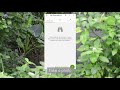 How to use iNaturalist - City Nature Challenge