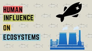 IGCSE BIOLOGY REVISION [Syllabus 21] Human Influence On Ecosystem