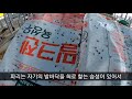 52. 파리 박멸 고민을 빅카드로 완전히 해결 할 수 있습니다