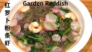 红萝卜粉条虾  Garden Radish 的好吃做法 鲜香味美 营养丰富 真是太好吃了