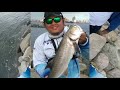 manila bay monster fishing after ecq personal best threadfin salmon day 1 of metro manila gcq