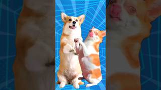 Super Cute Dog Dance 🐶🐕😍