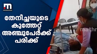 കാട്ടാക്കടയില്‍ തേനീച്ചയുടെ കുത്തേറ്റ് അഞ്ചുപേര്‍ക്ക് പരിക്ക്; ഒരാളുടെ നില ഗുരുതരം | Mathrubhumi