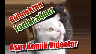 Gülmekten Yarılacağınız Aşırı Komik Videolar  (2019  YENİ KOMİK VİDEOLAR) İKİ FİRARİ SUNAR