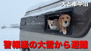 A once-in-a-decade disaster-level snowstorm... Feeling in danger, I evacuated with my dog... [Bor...