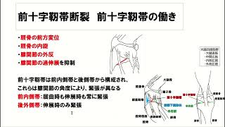 国家試験対策　運動器　④完全版