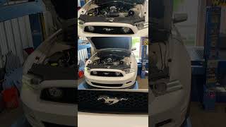 2014 Mustang Gt.  630whp with a D1 Procharger id1050x injectors and headers! #mustang #procharger