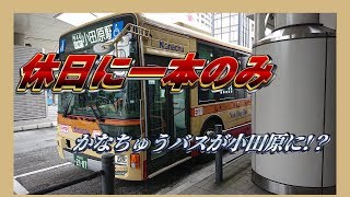 「前面展望」神奈川中央交通平44系統 平塚駅北口→二宮駅→国府津駅→小田原駅