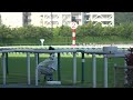 3歳以上2勝クラス 現地 レース ジレトール ウインアキレウス シャークスポット ルモンド ワンダースティング 2022 6 4 中京競馬場 12r