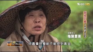 超級阿嬤土地新生活 一步一腳印 20190707