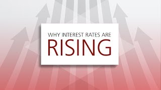 Why rates are rising: Scotiabank Economics