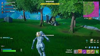 Fortnite squad win