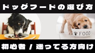 ペットショップ店長が伝えたい、ドッグフードを選ぶ前に考えてほしい事