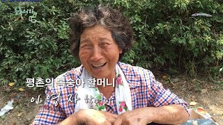 [한네트워크/초록의자] 평촌 복숭아 할머니