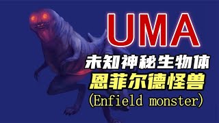 UMA系列之第34期：恩菲爾德怪獸，驚悚的真實故事 #UMA系列 #未解之谜 #怪物传说 #水怪 #恶魔