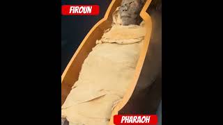 Firaun - Pharaoh Body Egypt