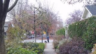 Walking in Vancouver Canada. Cambie Street to West 19th Ave.