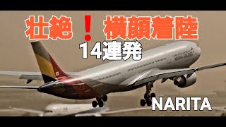 ✈✈RJAA成田空港 Crosswind landing 風速２０ノット 強風横風着陸 怒涛の１4連発 ウィンドシア(Windshear)警報発令   Narita RWY16R