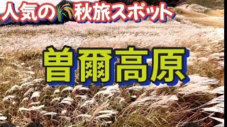 【絶景】風の谷のナウシカの世界がここにあった❗️