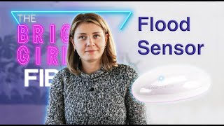 ნათელი გოგონა FIBARO-დან | წყალდიდობის სენსორი ნაწილი 1