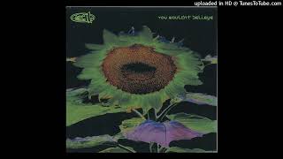 311 - You Wouldn't Believe (Acoustic)